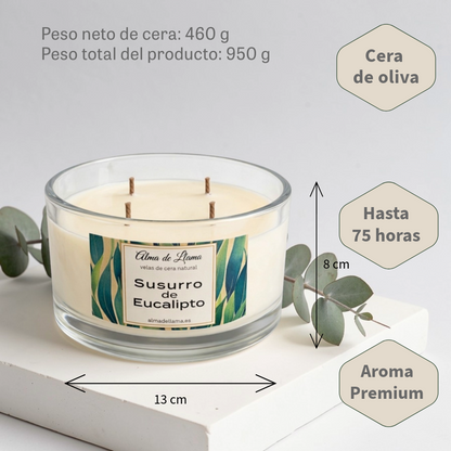 Vela aromática Susuro de Eucalipto (grande)