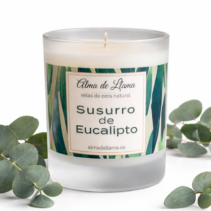 Vela aromática Susuro de Eucalipto