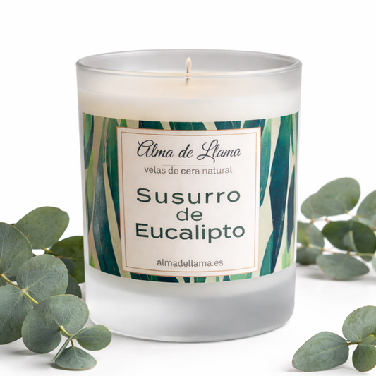 Vela aromática Susuro de Eucalipto